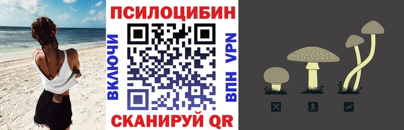 kraken зеркало  Прохладный  Псилоцибиновые грибы Cubensis 